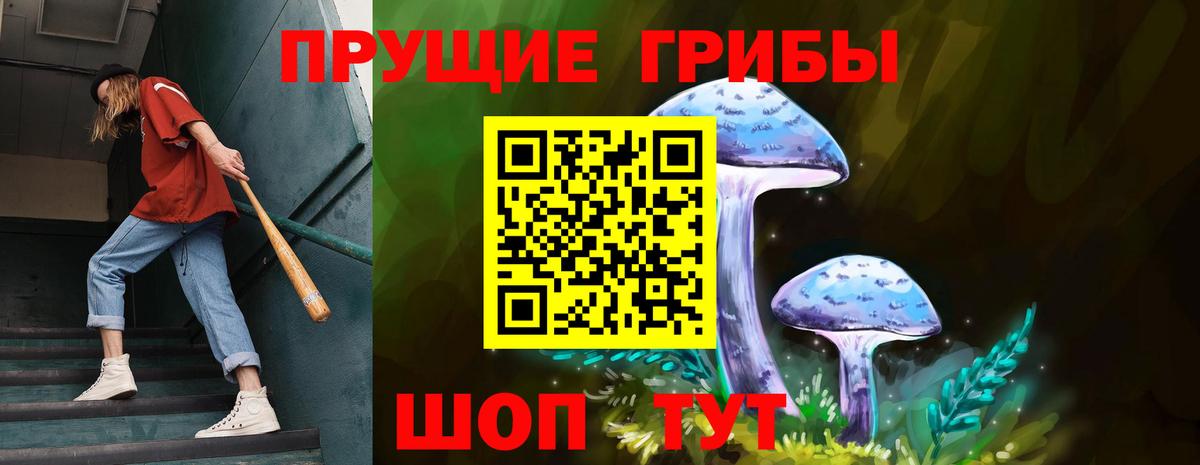 Псилоцибиновые грибы мухоморы Димитровград